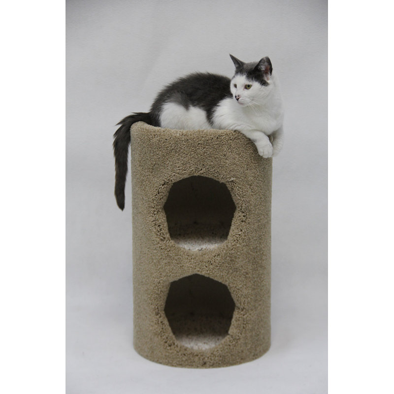 Tucker Murphy Pet Isabelle 21 Two Story Cat Condo Reviews Wayfair
